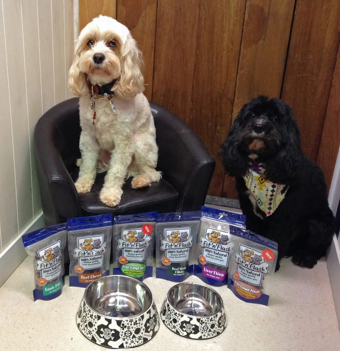 Fit and shop flash dog treats