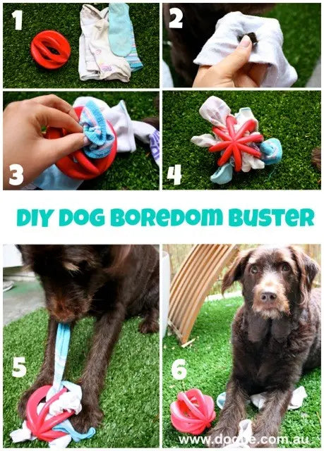 DIY Dog Boredom Buster - SitStay