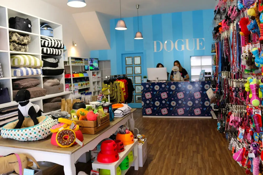 DOGUE Brighton DOGUE s First Melbourne Store