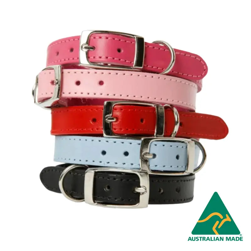 Plain leather 2024 dog collar