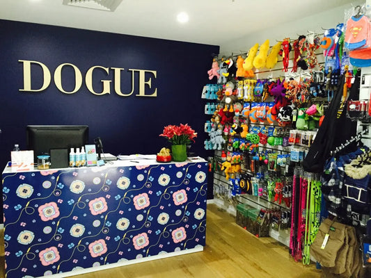 DOGUE ZETLAND IS NOW OPEN IN EAST VILLAGE