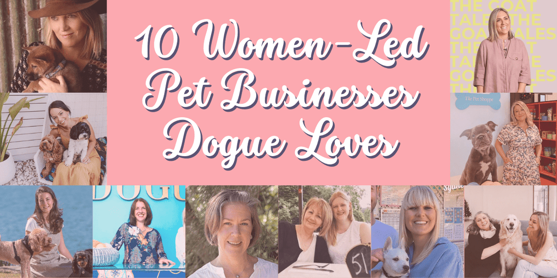 Celebrating Women in the Pet Industry: 10 Women-Led Pet Businesses DOGUE Loves