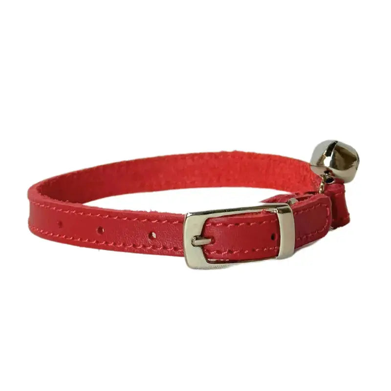 Cat hotsell belt online