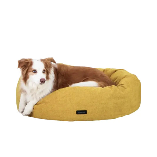 Springtime Cuddler Dog Bed | Buy Online at DOGUE Australia