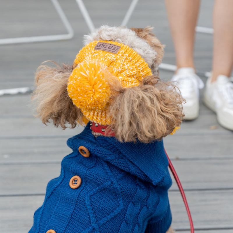 Winter Dog Hat - DOGUE