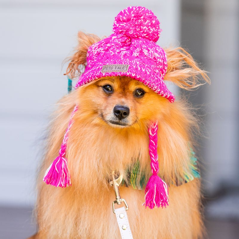 Winter Dog Hat - DOGUE