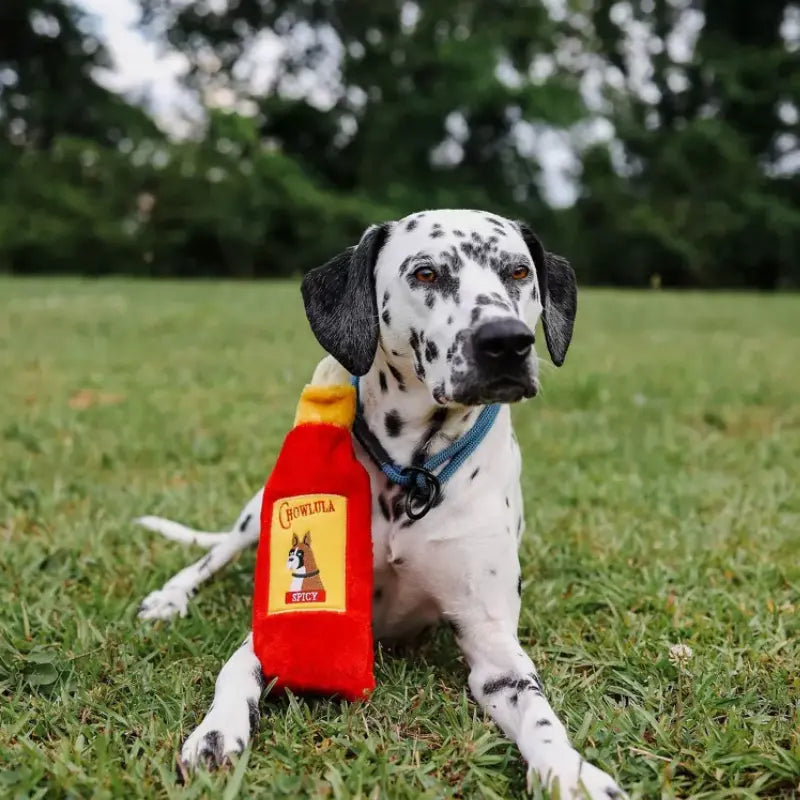 ZippyPaws Crusherz Hot Sauce Dog Toy - DOGUE