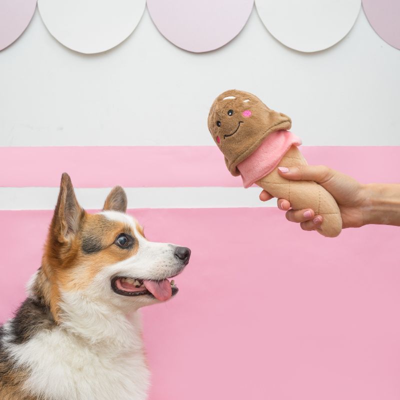 ZippyPaws NomNomz Ice Cream Dog Toy - DOGUE