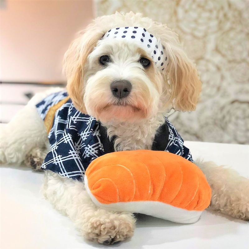Sushi dog toy sales