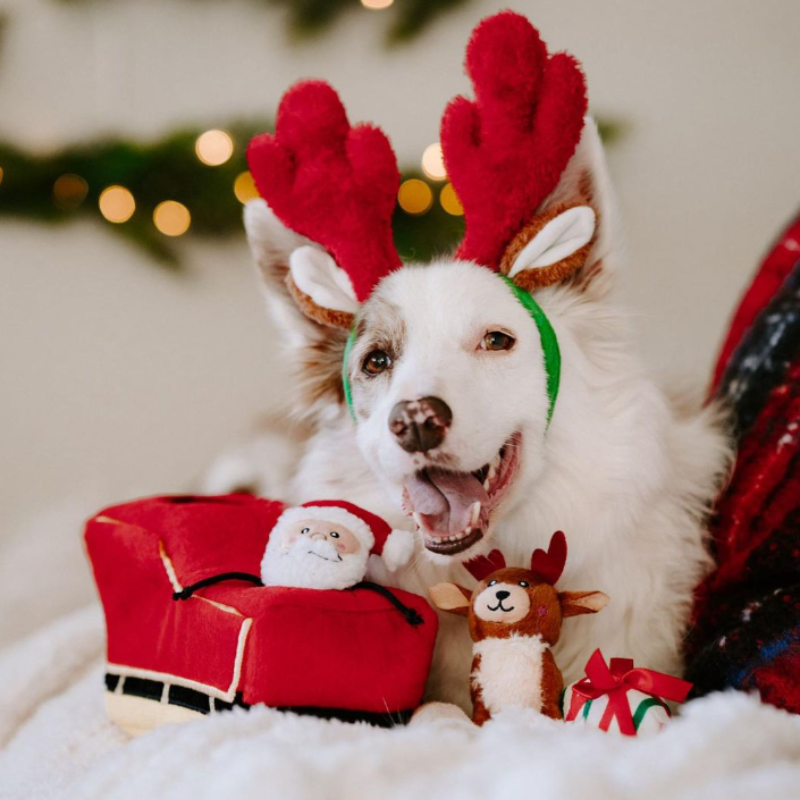 ZippyPaws Holiday Antlers Headband Dog Costume - DOGUE