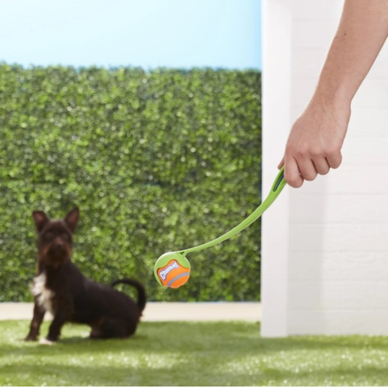 Chuckit! Sport Launcher Dog Toy