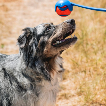 Chuckit! Sport Launcher Dog Toy