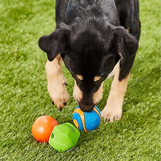 Chuckit! Fetch Medley Balls Dog Toy Gen2 3-pack