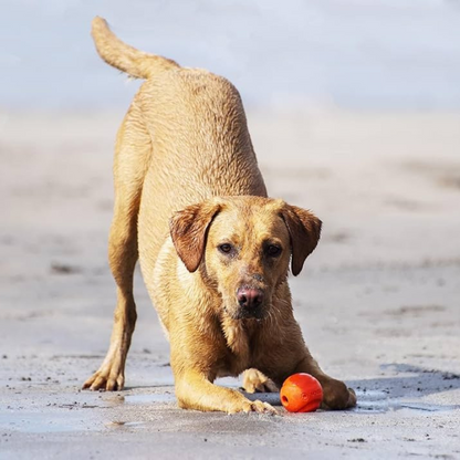 Chuckit! Fetch Medley Balls Dog Toy Gen1 3-pack