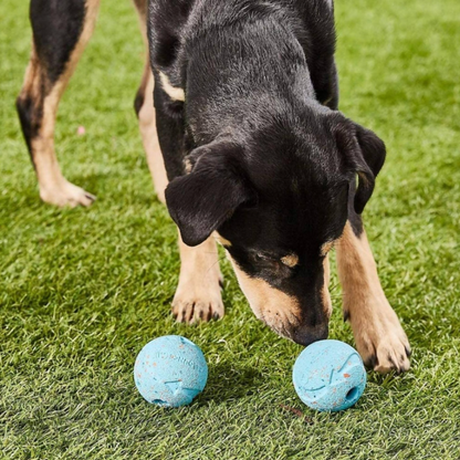 Chuckit! Fetch Medley Balls Dog Toy Gen1 3-pack