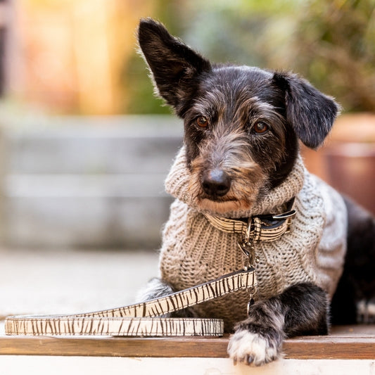 DOGUE Leather Animal Print Dog Lead - DOGUE