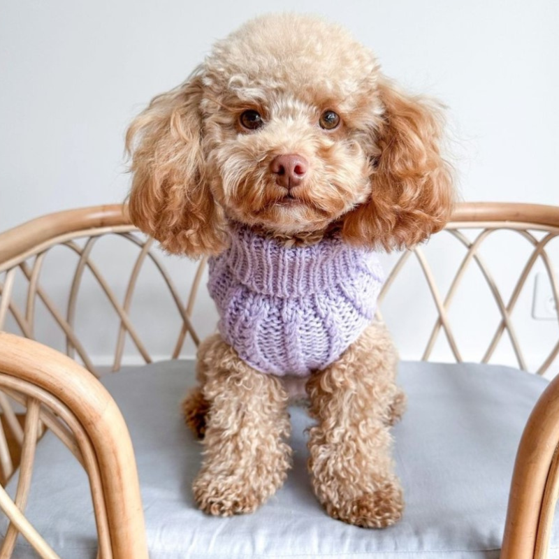 DOGUE Cable Knit Dog Jumper