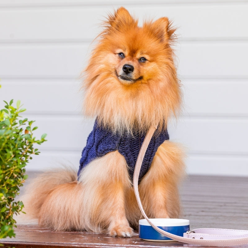 DOGUE Gelato Flower Dog Lead