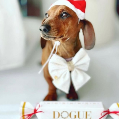 DOGUE Christmas Bon Bon Dog Treat