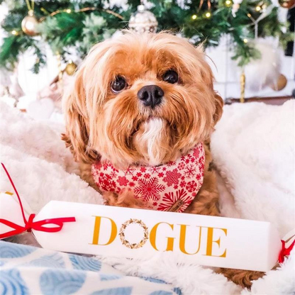 DOGUE Christmas Bon Bon Dog Treat