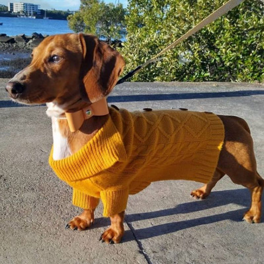 DOGUE Classic Cardi Knit Dog Jumper - DOGUE