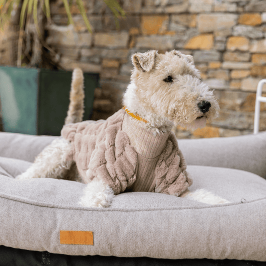 DOGUE Fur Baby Dog Jumper - DOGUE