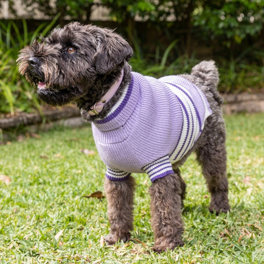 DOGUE Stripey Joe Dog Jumper - DOGUE