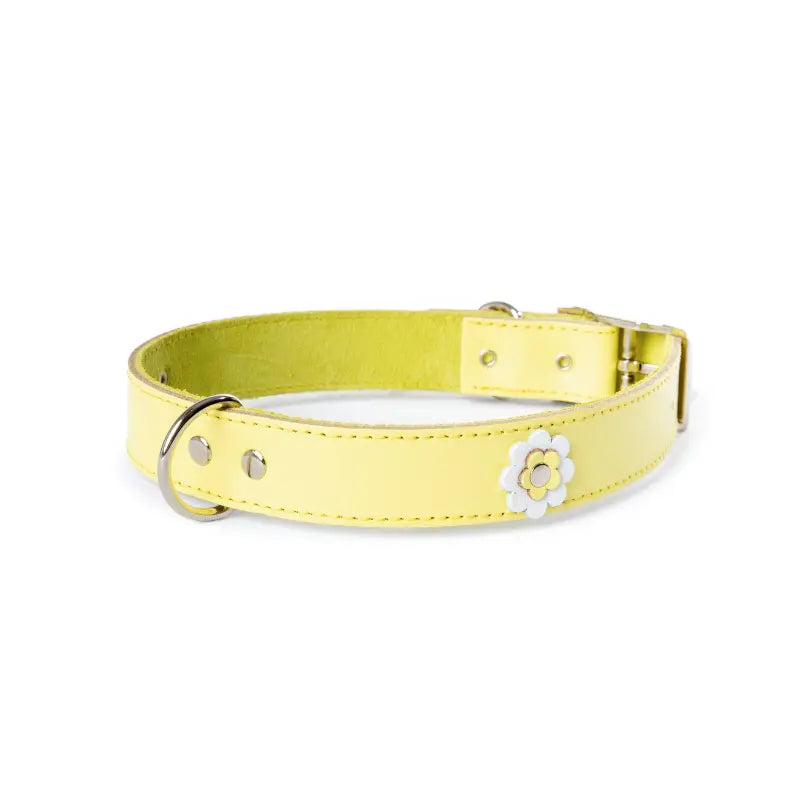 Gelato Flower Dog Collar Buy Online at DOGUE