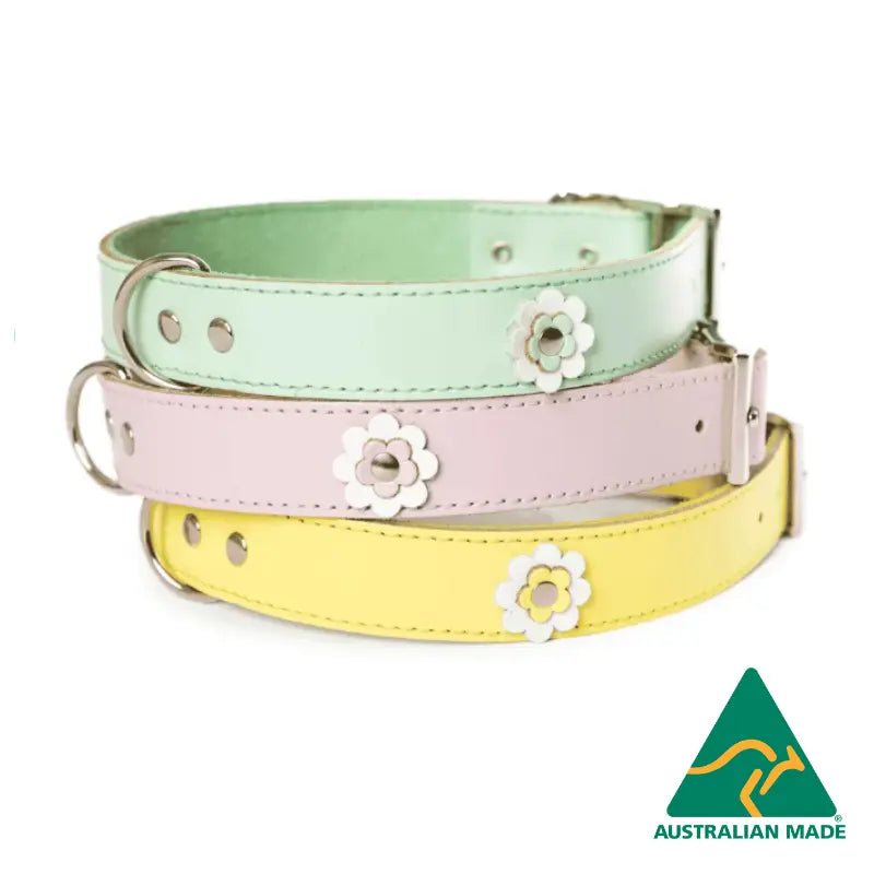 dogue-gelato-flower-dog-collar