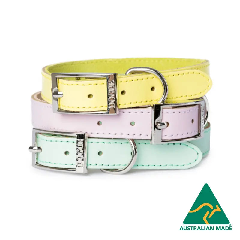 dogue-gelato-dog-collar