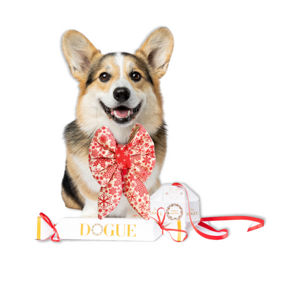 DOGUE Christmas Sailor Dog Bow Tie