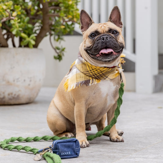 DOGUE Macrame Dog Lead - DOGUE