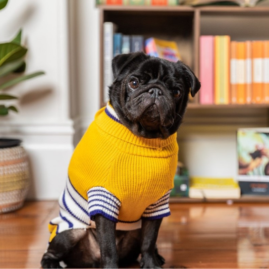 DOGUE Stripey Joe Dog Jumper - DOGUE