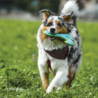 DuraForce Boomerang Tiger Dog Toy Blue/Green