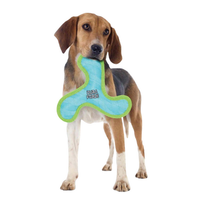 DuraForce Boomerang Tiger Dog Toy Blue/Green