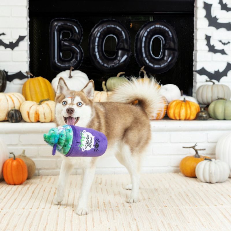 Fringe Studio Halloween Plush Witches Brew Dog Toy