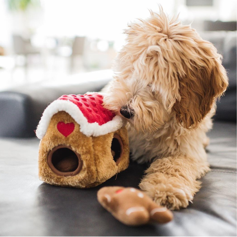 ZippyPaws Burrow Gingerbread House Holiday Dog Toy