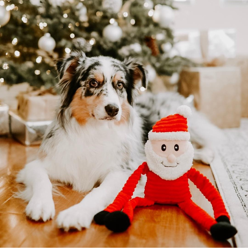 ZippyPaws Holiday Crinkle Santa Dog Toy