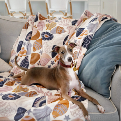 Indie Boho Daydream Shells Dog Blanket - DOGUE