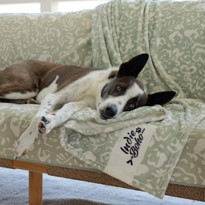 Indie Boho Neutral Brushstrokes Dog Blanket - DOGUE