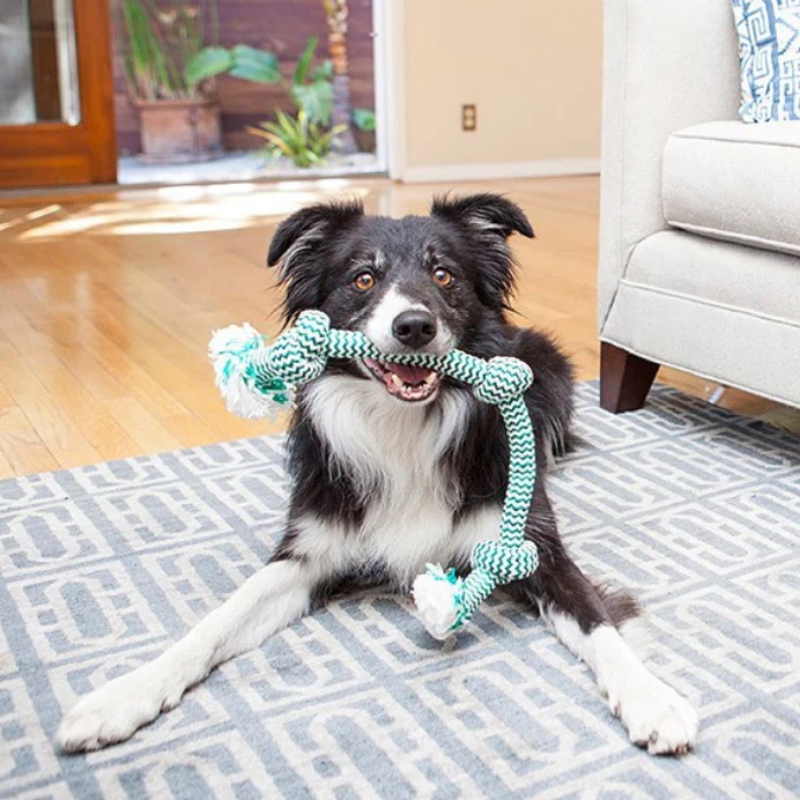 Mammoth Flossy Chews Extra Fresh Knot Tug Dog Toy