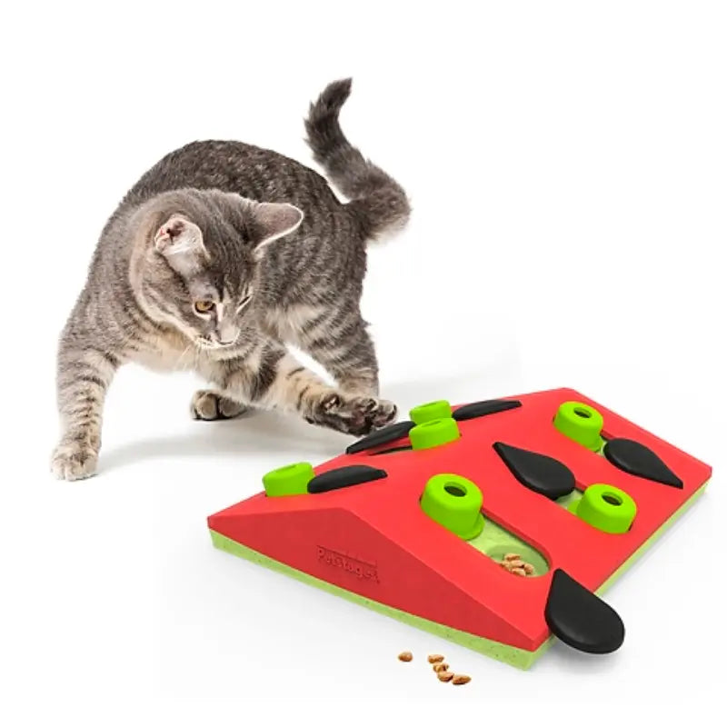 Nina Ottosson Melon Madness Cat Puzzle Game - DOGUE