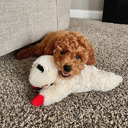 Multipet Lamb Chop Dog Toy