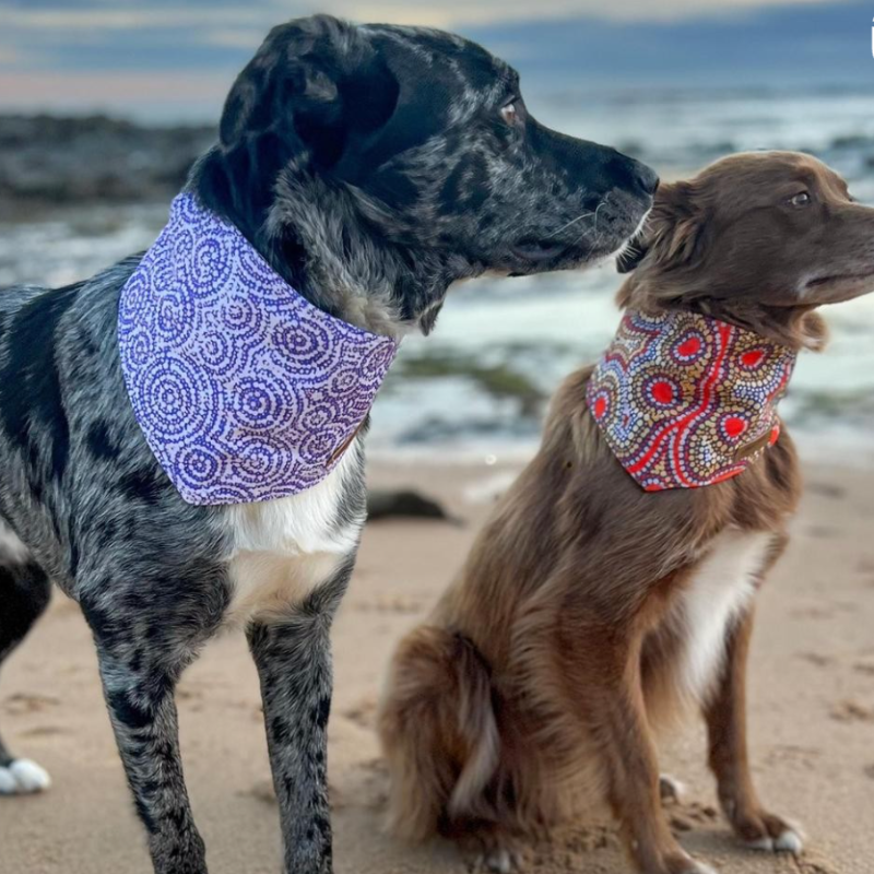 Outback Tails Dog Bandana Ngama - DOGUE