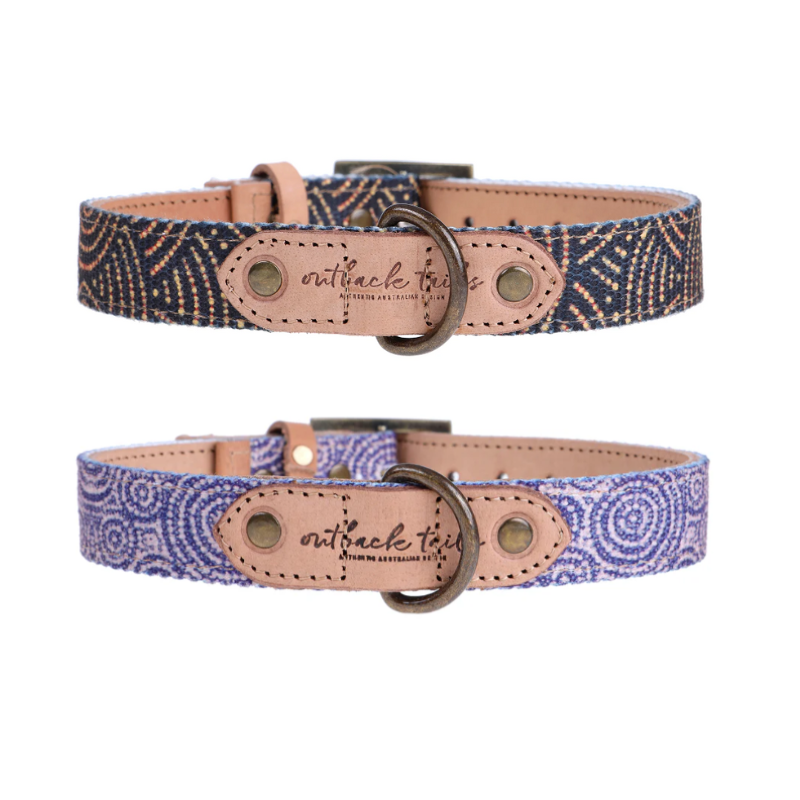 outback-tails-leather-dog-collar