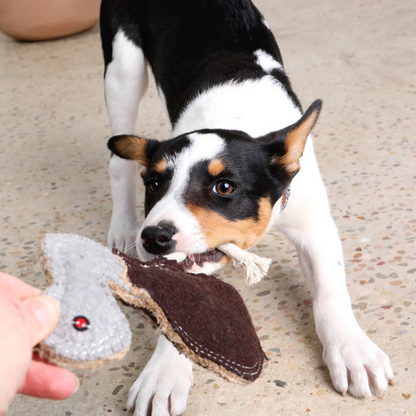 Outback Tails Felt Dog Toy Ernie Emu - DOGUE