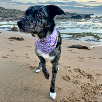 Outback Tails Dog Bandana Ngama - DOGUE