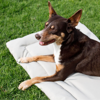 Snooza Roll & Go Outdoor Dog Mat - DOGUE