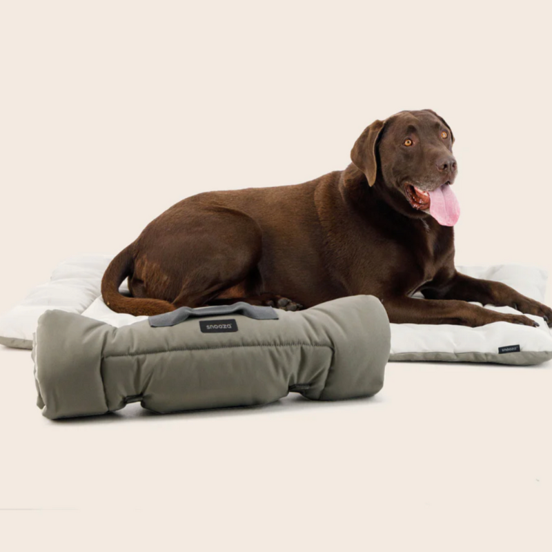 Snooza Roll & Go Outdoor Dog Mat - DOGUE