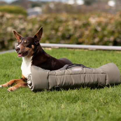 Snooza Roll & Go Outdoor Dog Mat - DOGUE